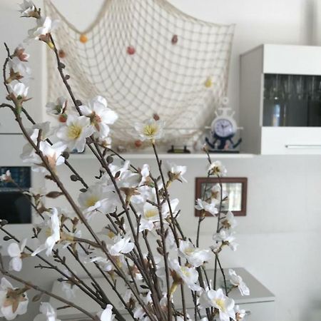 B&B Cagliari Ariosto Dış mekan fotoğraf